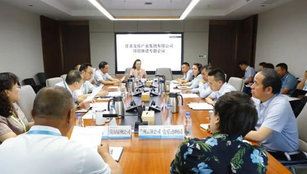 全力以赴推进项目建设 抓好各项工作落实 集团公司召开项目建设专题会议